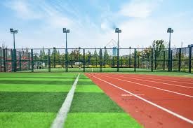 [网球]意大利队收获戴维斯杯三连冠